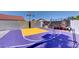 Backyard basketball court featuring a vibrant design, professional hoop, and surrounding landscape; ideal for sports enthusiasts at 2940 E Norwood St, Mesa, AZ 85213