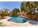 Lush backyard featuring a freeform pool with stone accents and mature palm trees for ultimate relaxation at 35654 N Vidlak Dr, San Tan Valley, AZ 85143
