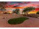 Well-maintained backyard with gravel landscaping, a kidney-shaped lawn, and mature shade trees at 3805 E Desert Flower Ln, Phoenix, AZ 85044