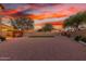 Expansive backyard featuring gravel landscaping, mature trees, and privacy fencing at 3805 E Desert Flower Ln, Phoenix, AZ 85044
