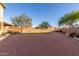 Spacious backyard featuring gravel landscaping and mature trees at 3805 E Desert Flower Ln, Phoenix, AZ 85044