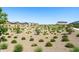 Well-maintained common area with desert landscaping and various new homes at 38099 N Stallion St, San Tan Valley, AZ 85140