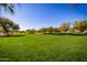 Expansive grassy common area with mature desert trees providing shade and natural beauty to the community at 7939 E Stonecliff Cir, Mesa, AZ 85207