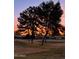 This serene exterior view showcases desert landscaping, mature trees, and vibrant sunset views at 11633 N 40Th Way, Phoenix, AZ 85028