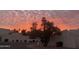 Charming neighborhood street view featuring well-maintained landscaping, stucco homes, and a striking orange sunset sky at 11633 N 40Th Way, Phoenix, AZ 85028