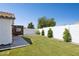 Grassy backyard featuring a high block wall, a gate, and mature trees enhancing the outdoor space at 13320 N 82Nd Dr, Peoria, AZ 85381