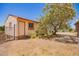 Exterior view of a shed with neutral-colored exterior, adjacent to a large, flowering tree at 26232 S Lemon Ave, Queen Creek, AZ 85142