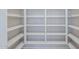 Walk-in pantry with ample shelving for organized storage at 3018 W Horsham Dr, Phoenix, AZ 85027