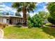 Backyard lawn and landscaping featuring a mature palm tree, trees and covered patio at 3031 E Avalon Dr, Phoenix, AZ 85016