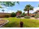 Lush backyard showcasing a well-manicured lawn, mature palm, trees, and desert landscaping at 3031 E Avalon Dr, Phoenix, AZ 85016