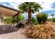 Beautiful backyard featuring a mature palm tree and an extended covered patio area at 3031 E Avalon Dr, Phoenix, AZ 85016