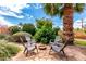 Backyard firepit area on paver patio with four chairs, lush plants and palm tree at 3031 E Avalon Dr, Phoenix, AZ 85016