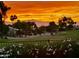 Picturesque view of a lush community landscape with palm trees silhouetted against a vibrant sunset sky at 3394 N 147Th Ln, Goodyear, AZ 85395