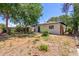 Spacious backyard with lush trees providing ample shade and privacy at 3526 E Cheery Lynn Rd, Phoenix, AZ 85018