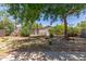Backyard features a mix of trees, greenery and a block fence for privacy at 3526 E Cheery Lynn Rd, Phoenix, AZ 85018