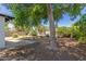 Backyard features mature trees that offer shade and a secure block fence at 3526 E Cheery Lynn Rd, Phoenix, AZ 85018