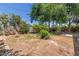 Backyard with lush greenery, mature tree, and a mix of plants and natural elements at 3526 E Cheery Lynn Rd, Phoenix, AZ 85018