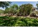 Well-maintained backyard featuring lush greenery and landscaping at 42310 W Fountainhead St, Maricopa, AZ 85138