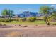 Golf course views and desert landscaping of this beautiful community at 8950 E Greenview Dr, Gold Canyon, AZ 85118