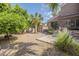 Lush backyard featuring a shed, built-in BBQ, mature trees and privacy wall at 2114 E Escuda Rd, Phoenix, AZ 85024
