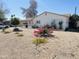Charming single-story home featuring vibrant desert landscaping and a covered carport at 2115 W Myrtle Ave, Phoenix, AZ 85021