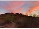 Picturesque desert landscape with native trees and foliage under a colorful sunset at 3417 E Mission E Ln, Phoenix, AZ 85028
