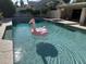 Outdoor pool with an inflatable pink flamingo, sundeck, and shade structure at 3417 E Mission E Ln, Phoenix, AZ 85028