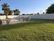 Expansive backyard featuring a refreshing pool, lush grass, privacy fence, and mature palm tree at 740 N Oracle --, Mesa, AZ 85203