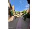 A landscaped walkway surrounded by desert foliage at 7432 E Hum Rd # 203, Carefree, AZ 85377