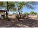 Expansive backyard featuring mature trees, an outdoor kitchen area, and seating arrangements for relaxed outdoor living and entertainment at 9998 W Prospector Dr, Queen Creek, AZ 85144