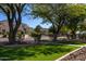 Lush green front yard with mature trees providing ample shade and enhancing the natural beauty of the property at 9998 W Prospector Dr, Queen Creek, AZ 85144
