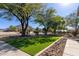 Well-maintained front yard with lush landscaping and mature trees providing shade and curb appeal at 9998 W Prospector Dr, Queen Creek, AZ 85144