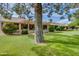 Expansive backyard featuring a well-maintained lawn, mature landscaping, and a covered patio for outdoor enjoyment at 13731 W Greenview Dr, Sun City West, AZ 85375