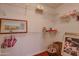 Walk in closet with wooden floor and hanging shelves and room for storage containers at 13731 W Greenview Dr, Sun City West, AZ 85375