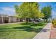 Landscaped green space with manicured lawn, mature trees, and pedestrian pathway within a residential community at 14080 N Newcastle Dr, Sun City, AZ 85351