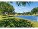 Community features a blue basketball court surrounded by green grass and mature trees under a clear sky at 14878 W Windrose Dr, Surprise, AZ 85379