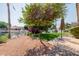 A charming backyard featuring a mature tree, lush green grass, and a view of the tranquil lake at 1625 W Gunstock Loop, Chandler, AZ 85286