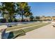 Community bocce ball court featuring lush green lanes, mature trees, and residential homes in the background at 1625 W Gunstock Loop, Chandler, AZ 85286