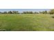 Large green space with mature trees, offering a perfect spot for outdoor activities and relaxation at 1625 W Gunstock Loop, Chandler, AZ 85286