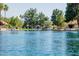 Picturesque waterfront view featuring lush landscaping, mature trees, and charming neighborhood homes at 1625 W Gunstock Loop, Chandler, AZ 85286