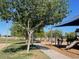 A community playground area features slides and play equipment for recreation, near walking paths and grassy areas at 17335 W Woodlands Ave, Goodyear, AZ 85338