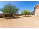 This serene backyard features beautiful trees and potential for customized landscaping at 2131 E Rose Garden Ln, Phoenix, AZ 85024
