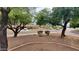 Quiet neighborhood street view showcasing well-manicured lawns and mature shade trees at 2320 W El Alba Way, Chandler, AZ 85224