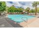 Community pool surrounded by lush landscaping, offering a refreshing escape at 2331 E Sunland Ave, Phoenix, AZ 85040