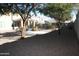 Expansive backyard area surrounded by a block wall with many trees offering shade and tranquility at 26022 N Sandstone Way, Surprise, AZ 85387