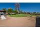 Expansive backyard featuring a covered patio, green grass, mature trees and plenty of open space at 3738 E Hash Knife Draw Rd, Queen Creek, AZ 85140