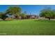 A view of the backyard with a ranch-style home surrounded by green grass and mature trees under a clear sky at 3738 E Hash Knife Draw Rd, Queen Creek, AZ 85140