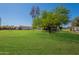 Expansive backyard with lush green lawn, mature trees, offering ample space for recreation and relaxation at 3738 E Hash Knife Draw Rd, Queen Creek, AZ 85140