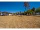 Expansive backyard featuring mature trees, a classic windmill, and ample space for outdoor activities at 3738 E Hash Knife Draw Rd, Queen Creek, AZ 85140