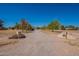 Long gravel driveway leading to a home with ample parking and mature trees at 3738 E Hash Knife Draw Rd, Queen Creek, AZ 85140